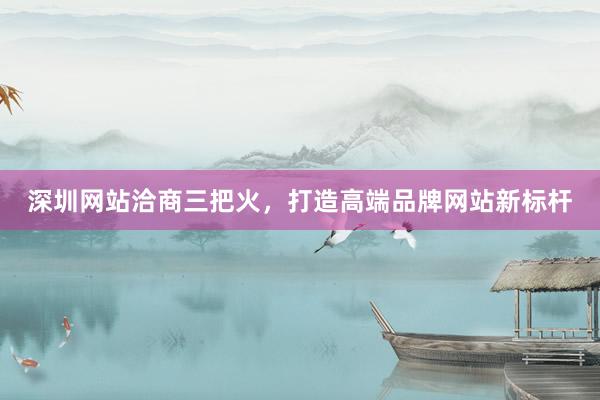 深圳网站洽商三把火，打造高端品牌网站新标杆
