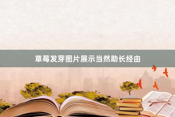 草莓发芽图片展示当然助长经由